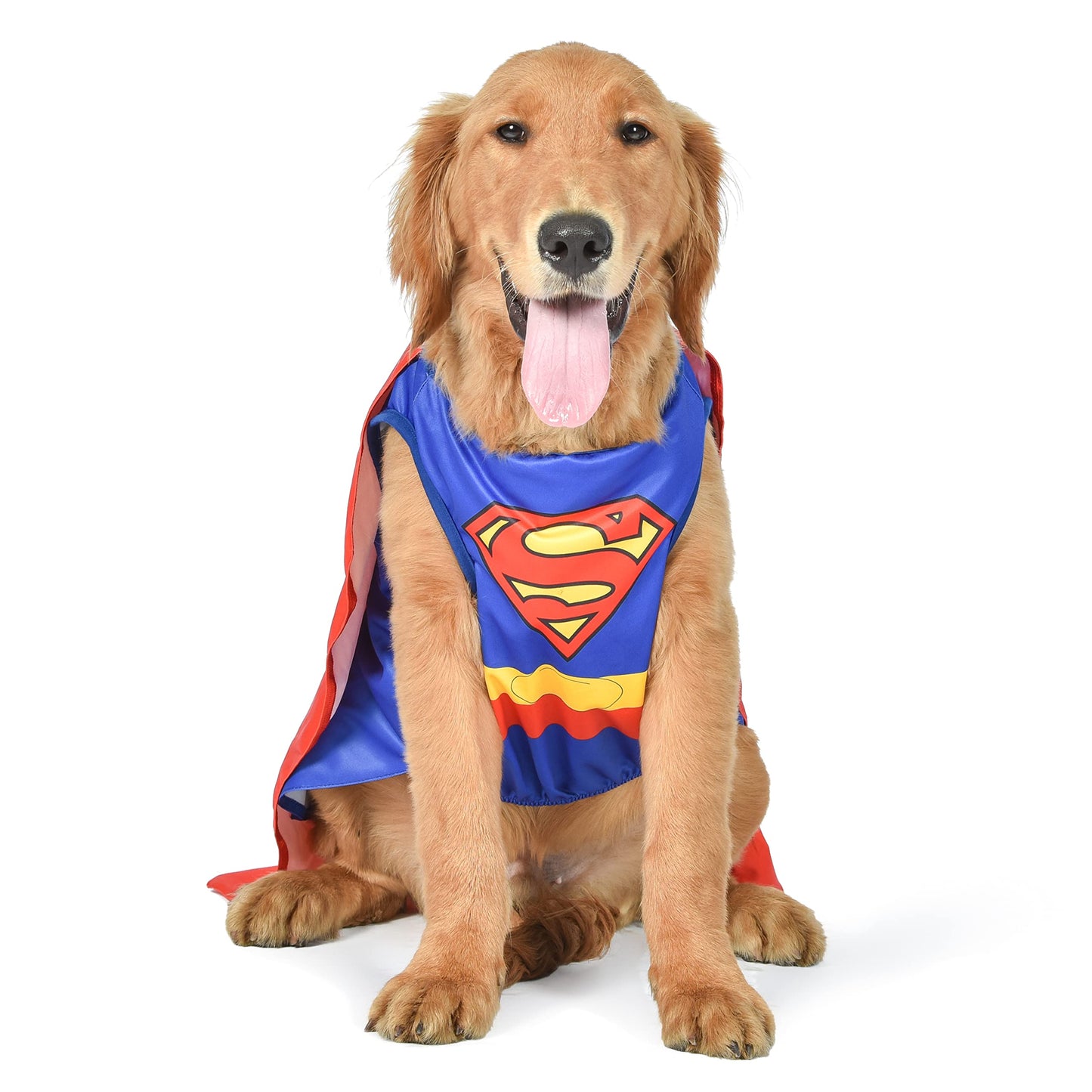 DC Comics Superhero Superman Halloween Dog Costume - Medium - | DC Superhero Halloween Costumes for Dogs Funny Dog Costumes | Officially Licensed DC Dog Halloween Costume Zyvraxen