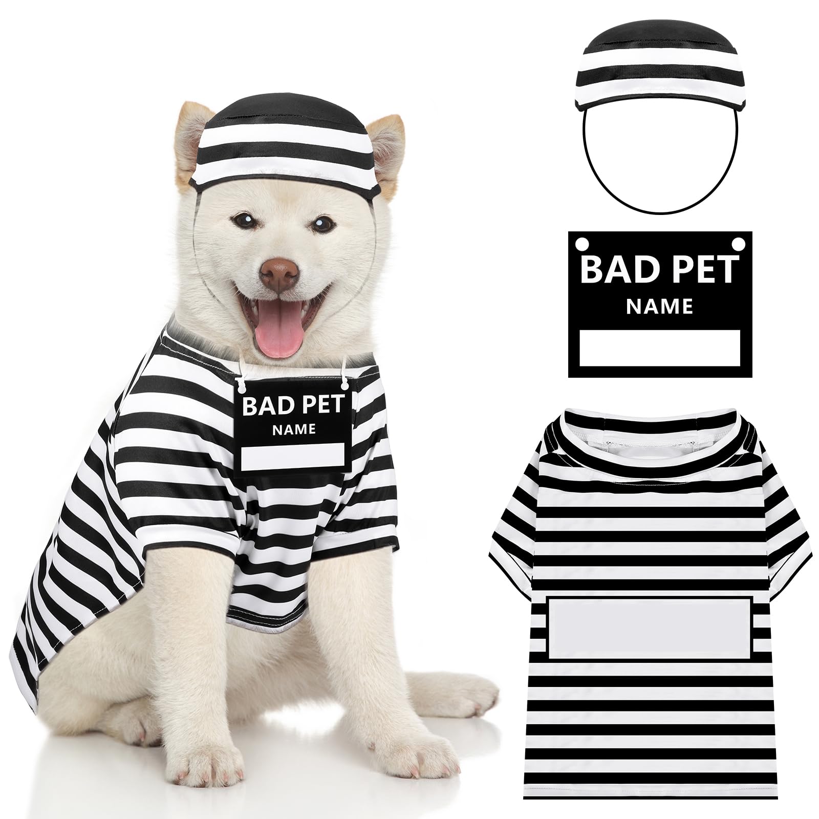 Pooch Prisoner Outfit Zyvraxen