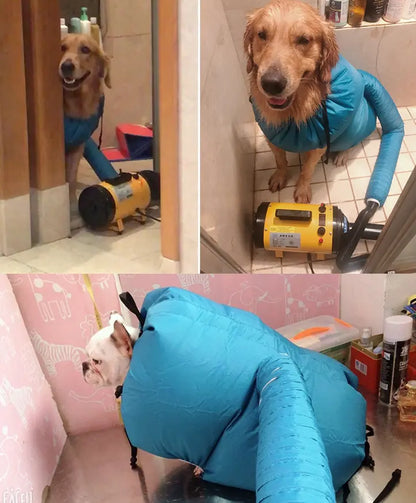 CozyPet Quick Dry Box Zyvraxen