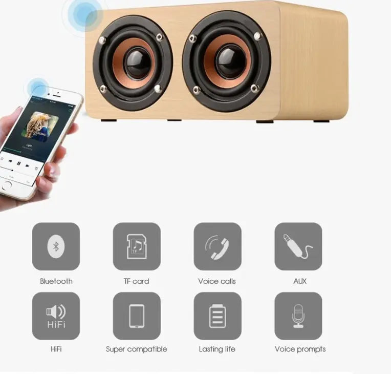 Elegant Wireless Auditory Speaker zyvraxen