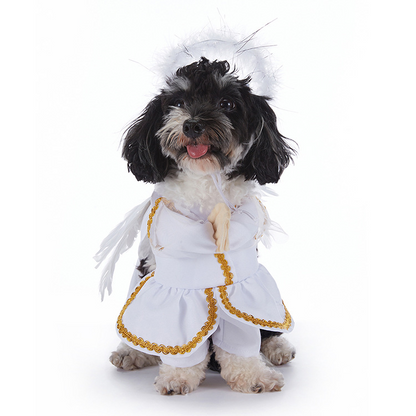 Spooky Pup Outfits Zyvraxen