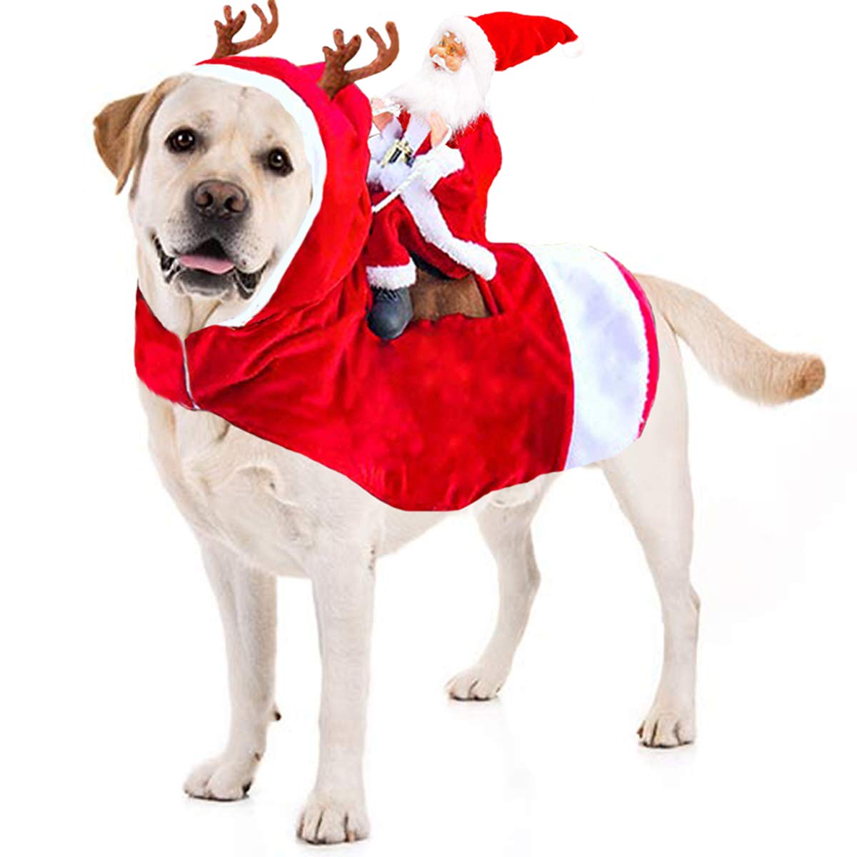 Santa Paws Dog Costume XXL Zyvraxen