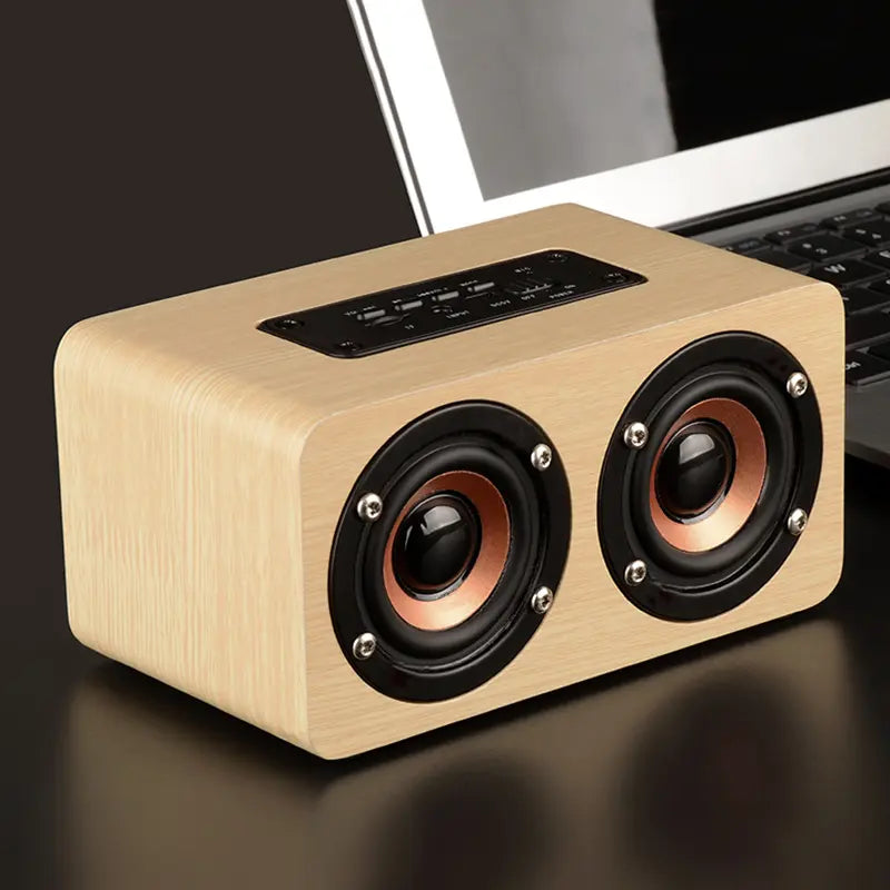 Elegant Wireless Auditory Speaker zyvraxen