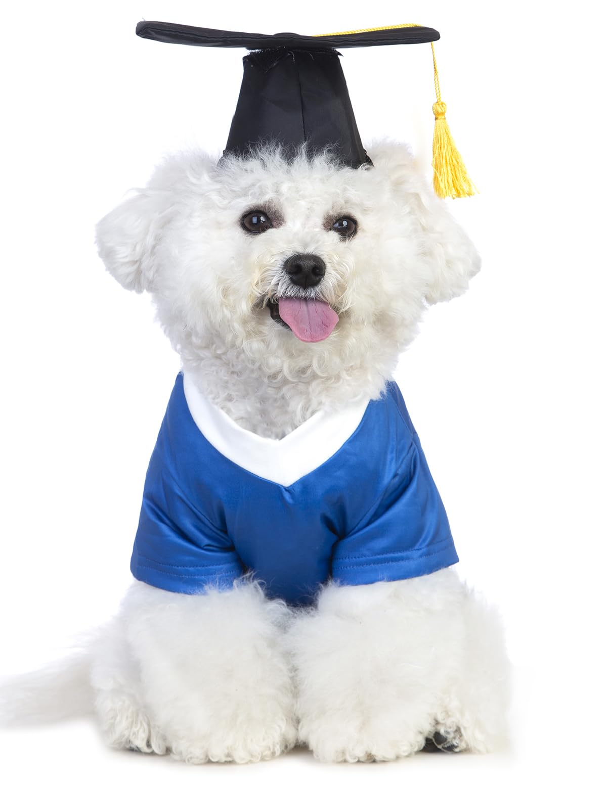 PupGrad Petite Graduation Outfit Zyvraxen