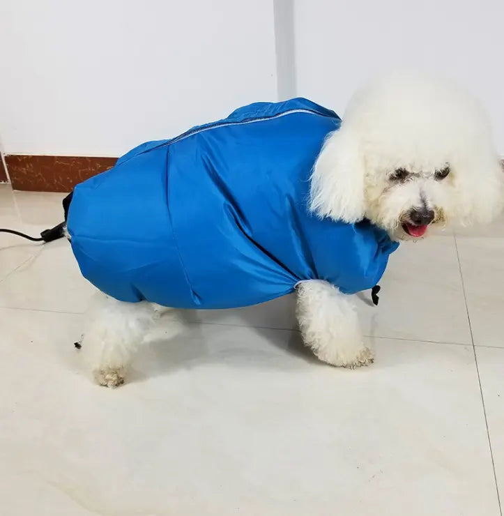 CozyPet Quick Dry Box Zyvraxen