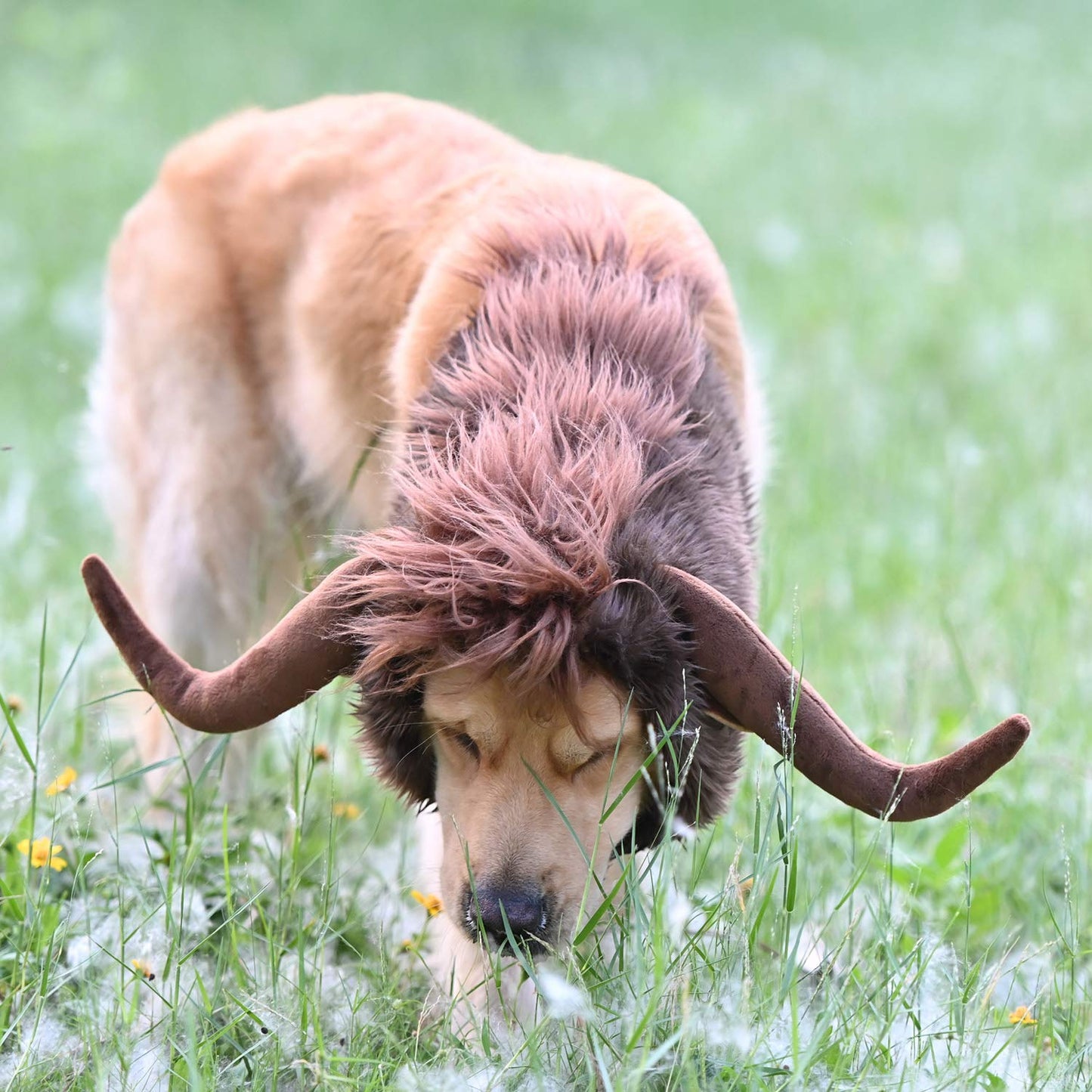 Onmygogo Funny Pet Moose Costumes for Dog Cute Furry Pet Wig for Halloween Christmas Pet Clothing Accessories (Bull Size L) Zyvraxen