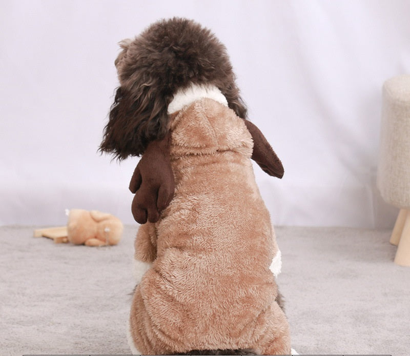 Autumn Pup Fashion Zyvraxen