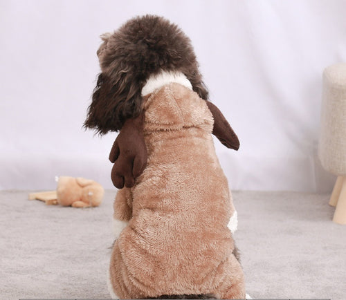 Autumn Pup Fashion Zyvraxen