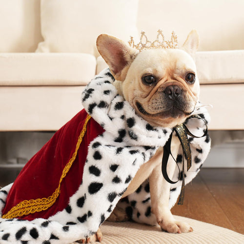 Royal Pet Cloak: Halloween Velvet & Fur Zyvraxen