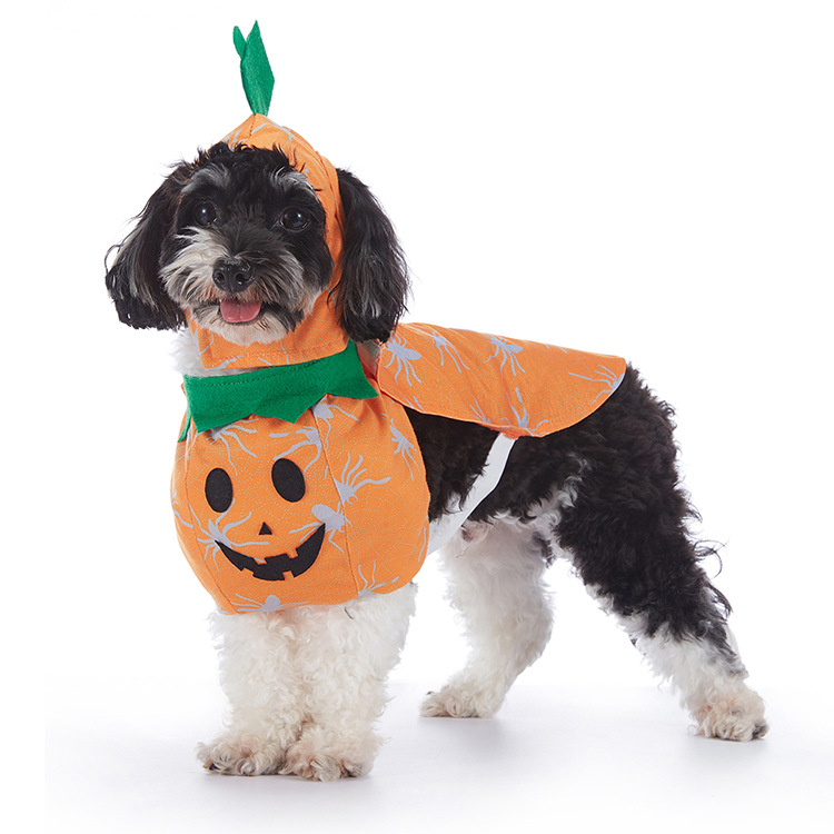 Spooky Pup Outfits Zyvraxen