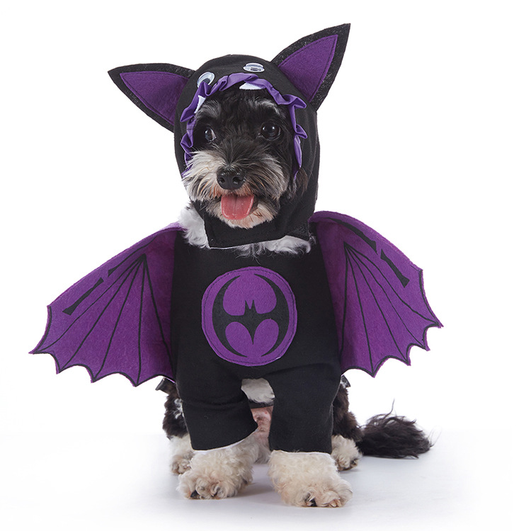 Spooky Pup Outfits Zyvraxen