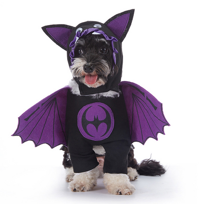 Spooky Pup Outfits Zyvraxen
