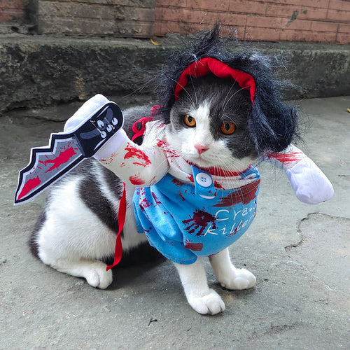 Party Pup & Kitty Costumes Zyvraxen